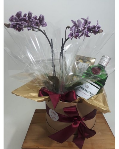 Box de orquídea e Gin